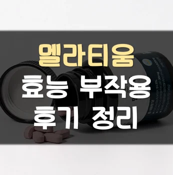 멜라티움-후기