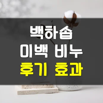 Read more about the article 백하솝 비누 후기 효과 알아보기