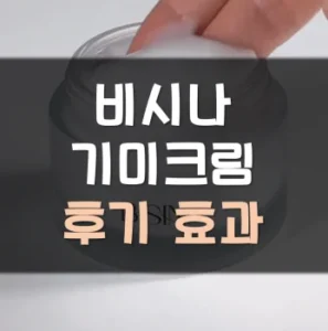 Read more about the article 비시나 기미 크림 후기 효과