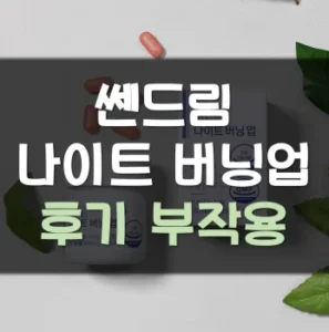 Read more about the article 쎈드림 나이트 버닝업 후기 부작용