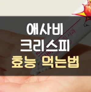 Read more about the article 애사비 크리스피 효능 먹는법 후기