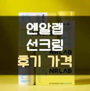 Read more about the article 엔알랩 선크림 후기 가격