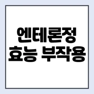 Read more about the article 엔테론정 50mg 150mg 효능 부작용