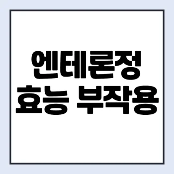 엔테론정-효능-부작용