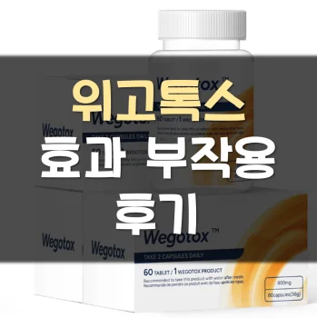위고톡스-후기