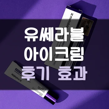 유쎄라블-아이크림-후기