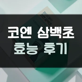 코엔-삼백초-후기