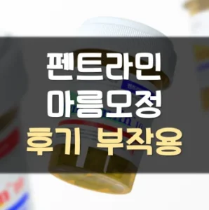 Read more about the article 펜트라민 마름모정 후기 부작용 효능