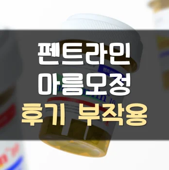펜트라민-마름모정-후기