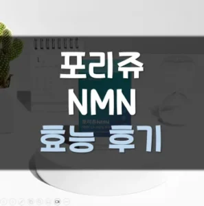 Read more about the article 포리쥬 NMN 효능 부작용 후기