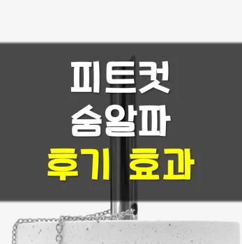 피트컷-숨알파-후기