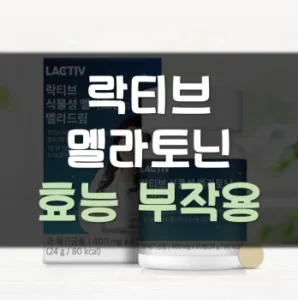 Read more about the article 락티브 멜라토닌 효능 부작용 후기
