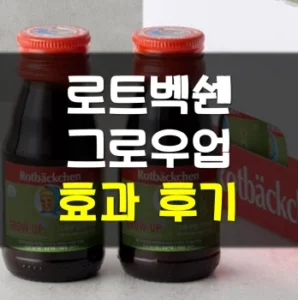 Read more about the article 로트벡쉔 그로우업 바이탈 효과 후기