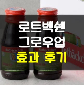 로트벡쉔-그로우업-후기