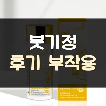 붓기정-후기