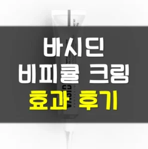 Read more about the article 바시딘 비피큘크림 효과 후기
