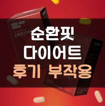 순환핏-다이어트-후기
