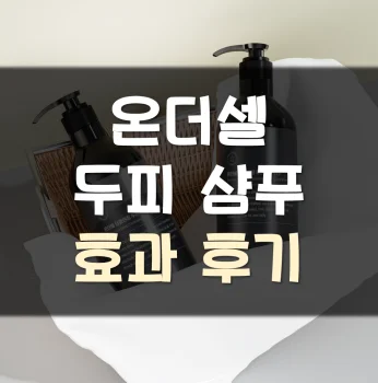 Read more about the article 온더셀 두피 샴푸 후기 효과