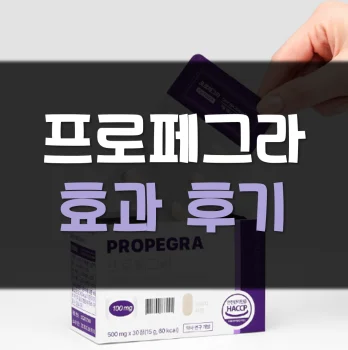 프로페그라-후기