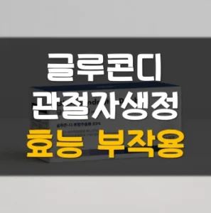 Read more about the article 글루콘디 관절자생정 효능 부작용 후기