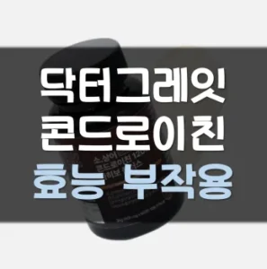 Read more about the article 닥터그레잇 콘드로이친 효능 부작용