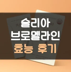 Read more about the article 슬리아 브로멜라인 후기 효능 부작용