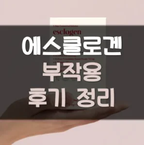 Read more about the article 에스클로겐 부작용 내돈내산 후기 정리