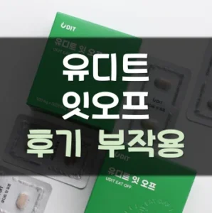 Read more about the article 유디트 잇오프 다이어트 후기 부작용