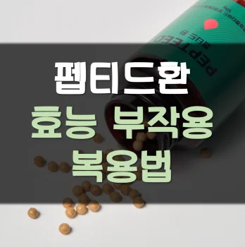 펩티드환-효능
