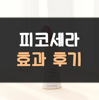 피코세라-내돈내산-후기