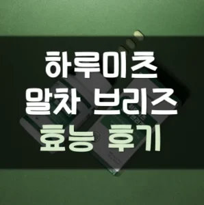 Read more about the article 하루미츠 말차 브리즈 후기 효능 부작용