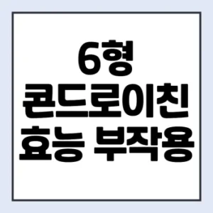 Read more about the article 6형 콘드로이친 추천 효능 부작용