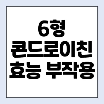 6형-콘드로이친-추천