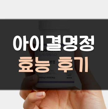 아이결명정-후기