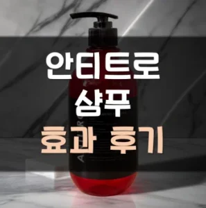 Read more about the article 안티트로 샴푸 후기 효과 사용법