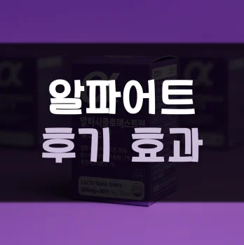 알파어트-내돈내산-후기
