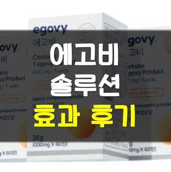 에고비-솔루션-후기