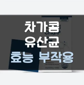Read more about the article 차가콤 유산균 효능 부작용