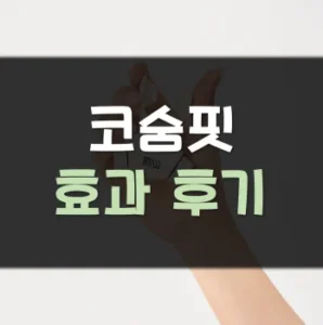 Read more about the article 코숨핏 후기 효과 사용법