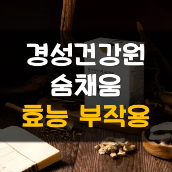 경성건강원-숨채움-후기