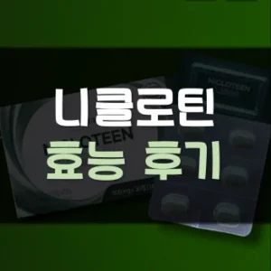 Read more about the article 니클로틴 효능 후기 복용법