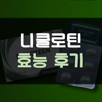 니클로틴-후기