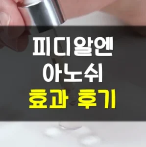 Read more about the article 피디알엔 아노쉬 후기 효과 사용법