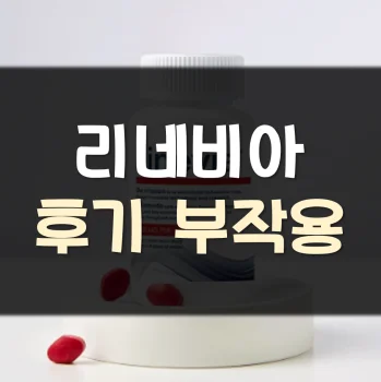 리네비아-후기