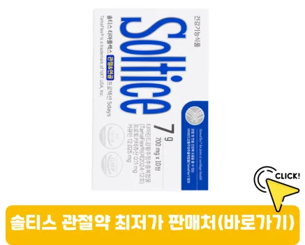 솔티스-관절약-가격