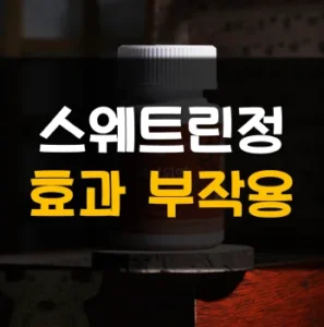 Read more about the article 백년뒤엔 스웨트린정 가격 효능 후기