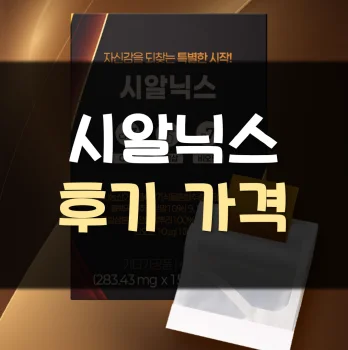 시알닉스-후기