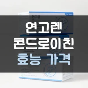 Read more about the article 콘드로이친 커큐민 연고렌 효능 후기 가격