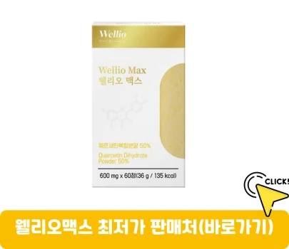 웰리오맥스-가격