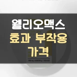 Read more about the article 웰리오맥스 효과 부작용 가격